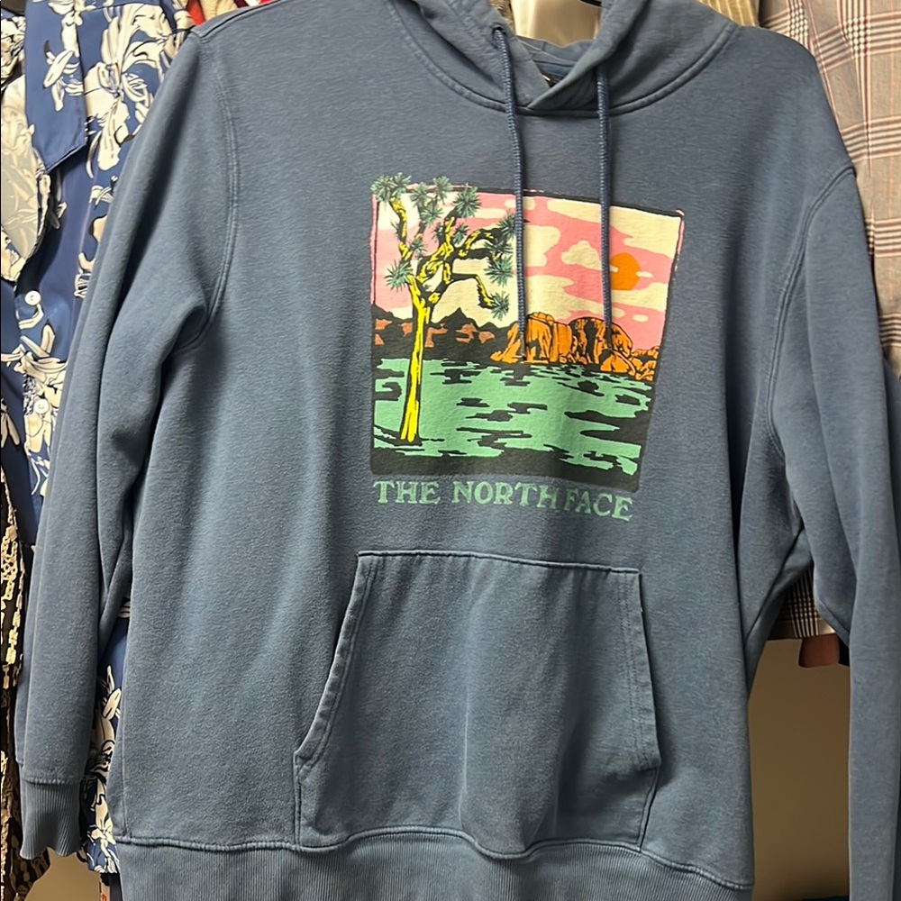 The North Face Graphic Blue Hoodie
